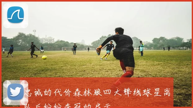 忠诚的代价森林狼四大锋线球星离队后纷纷夺冠的启示